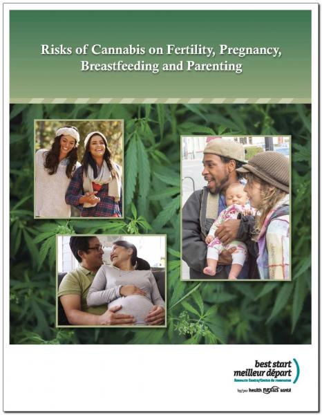 Risks of Cannabis on Fertility, Pregnancy, Breastfeeding and Parenting
