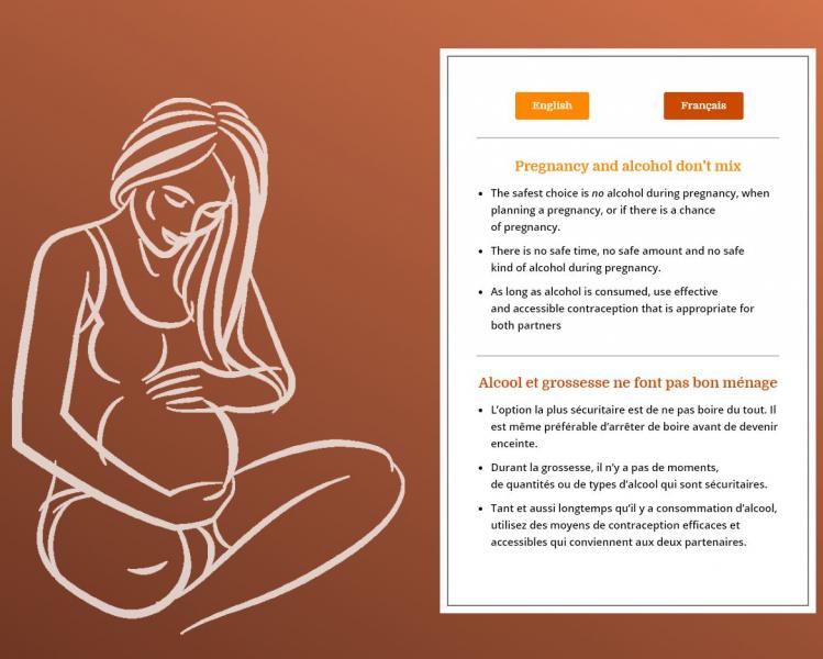 Thumbnail picture of the Pregnancy and alcohol don’t mix website